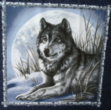 Wolf 12