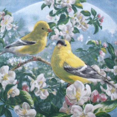 Yellow birds 1